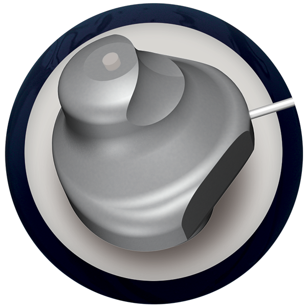 60 105588 93 X REAX Version 2 Core Image 600x600